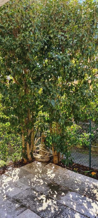 Jasmine Country House Vicenza Eksteriør bilde